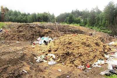Засмічували ліс відходами: лісгосп на Житомирщині заплатить понад мільйон гривень збитків