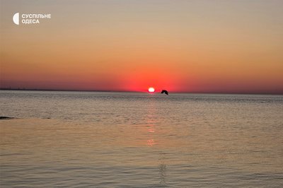 Світанок під піаніно: на Ланжероні в Одесі відбувся ранковий концерт Світанок під піаніно: на Ланжероні в Одесі відбувся ранковий концерт