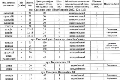 У Житомирі планують зрізати 50 дерев — рішення виконкому У Житомирі планують зрізати 50 дерев — рішення виконкому