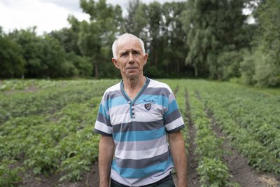 Поголів’я корів на Сумщині скоротилося на 4%: які причини Поголів’я корів на Сумщині скоротилося на 4%: які причини