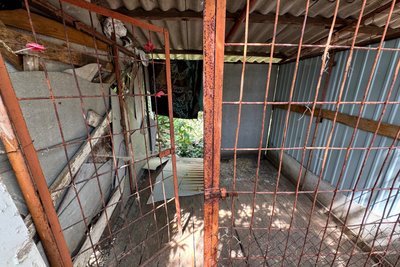 Життя без «плану Б»: як зооволонтери Краматорська рятують покинутих тварин із «гарячих» точок Донеччини Життя без «плану Б»: як зооволонтери Краматорська рятують покинутих тварин із «гарячих» точок Донеччини