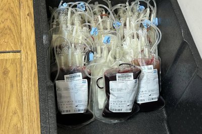 Студенти та викладачі університету в Житомирі здали кров для потреб прифронтових шпиталів — якої крові бракує Студенти та викладачі університету в Житомирі здали кров для потреб прифронтових шпиталів — якої крові бракує