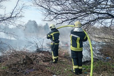 На Волині за добу ліквідували 14 пожеж: горіли трава й торфовища