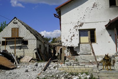 Бої за звільнення Малої Рогані на Харківщині: рік потому Бої за звільнення Малої Рогані на Харківщині: рік потому