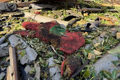 "Накрила собою сина, хлопчик не вижив". Очевидці розповіли про атаку на Великий Бобрик "Накрила собою сина, хлопчик не вижив". Очевидці розповіли про атаку на Великий Бобрик