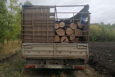 Вивозили вантажівкою: на Вінниччині чоловіки незаконно зрізали дерева Вивозили вантажівкою: на Вінниччині чоловіки незаконно зрізали дерева
