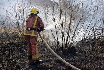 Під час пожежі сухої рослинності на Житомирщині травмувався чоловік Під час пожежі сухої рослинності на Житомирщині травмувався чоловік