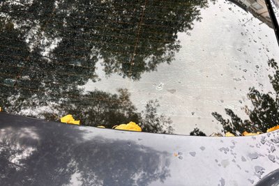 У Житомирі невідомі пошкодили автівки у дворі: поліцейські проводять перевірку У Житомирі невідомі пошкодили автівки у дворі: поліцейські проводять перевірку