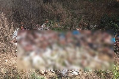У лісосмузі поблизу Житомира невідомі викинули рештки тварин