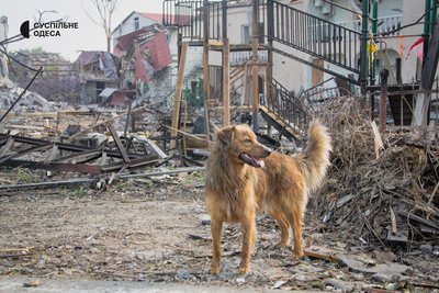 "Побачив ікону, взяв у руки й просто вистрибнув у вікно". Фоторепортаж з обстріляної Затоки на Одещині "Побачив ікону, взяв у руки й просто вистрибнув у вікно". Фоторепортаж з обстріляної Затоки на Одещині
