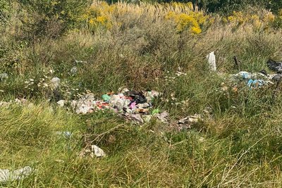 На Житомирщині зафіксували випадки незаконного складування відходів На Житомирщині зафіксували випадки незаконного складування відходів