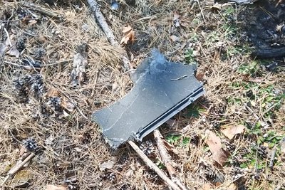 У лісах Житомирщини спалахнули пожежі внаслідок російських атак та падіння дронів: що відомо У лісах Житомирщини спалахнули пожежі внаслідок російських атак та падіння дронів: що відомо