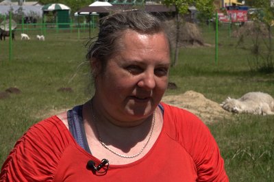 Як стежитимуть за безпекою у "Долині альпак" у Харківському екопарку Як стежитимуть за безпекою у "Долині альпак" у Харківському екопарку