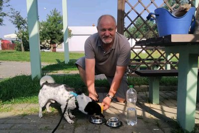 Долина-Житомир-Франція, або історія порятунку пораненого на війні пса Долина-Житомир-Франція, або історія порятунку пораненого на війні пса