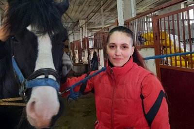 Спілкування з конями. У Миколаєві проводять заняття з іповенції