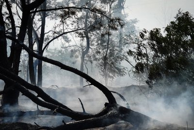 Під час пожежі у дачному будинку на Миколаївщині травмувався чоловік Під час пожежі у дачному будинку на Миколаївщині травмувався чоловік
