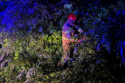 На Вінниччині рятувальники розчищали дороги від повалених через грозу дерев На Вінниччині рятувальники розчищали дороги від повалених через грозу дерев