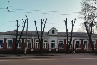 Розчищення від омели та старих і аварійних гілок — у Житомирі триває зимове кронування дерев та кущів Розчищення від омели та старих і аварійних гілок — у Житомирі триває зимове кронування дерев та кущів
