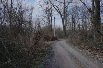 Останній житель села Зелений Гай на Житомирщині: «Просто не знаходжу собі місця десь там у місті» Останній житель села Зелений Гай на Житомирщині: «Просто не знаходжу собі місця десь там у місті»