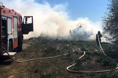 Горіли очерет і суха трава: на Волині за добу ліквідували 10 пожеж Горіли очерет і суха трава: на Волині за добу ліквідували 10 пожеж