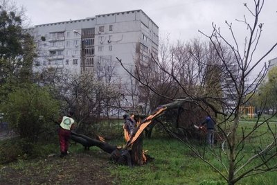 Через негоду 26 квітня в Харкові впали близько сотні дерев