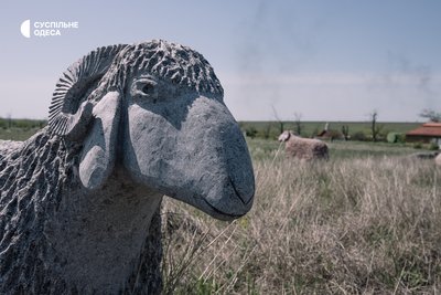 фрумушика-нова