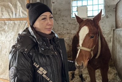 Врятовані з-під обстрілів: як евакуйовані коні звикають до нового дому в Миколаєві Врятовані з-під обстрілів: як евакуйовані коні звикають до нового дому в Миколаєві