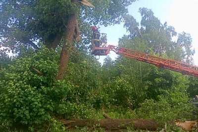 Буревій на Житомирщині: упродовж доби рятувальники прибрали понад 6 десятків повалених дерев Буревій на Житомирщині: упродовж доби рятувальники прибрали понад 6 десятків повалених дерев