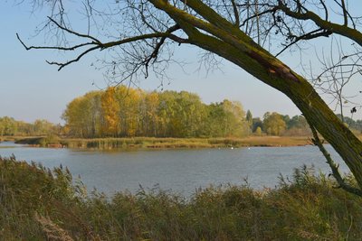Село Турівка, де народився Міхновський