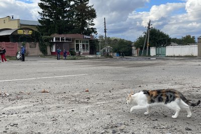 kit_u_kupyansku kit_u_kupyansku