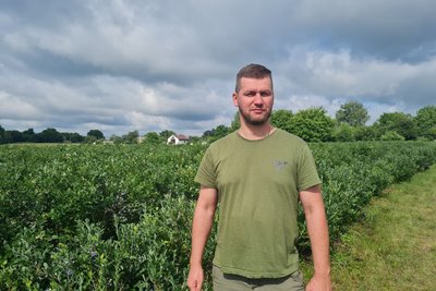 Військовослужбовець з Житомирщини приїхав у відпустку, щоб зібрати урожай лохини Військовослужбовець з Житомирщини приїхав у відпустку, щоб зібрати урожай лохини