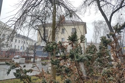 Незначний сніг та поступове зниження температури — якою буде погода у вихідні на Житомирщині Незначний сніг та поступове зниження температури — якою буде погода у вихідні на Житомирщині