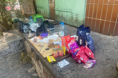 У Києві сталася пожежа у притулку для тварин "Котохата", поліція шукає свідків У Києві сталася пожежа у притулку для тварин "Котохата", поліція шукає свідків
