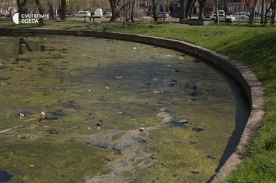 "Обурена від цього бруду": який стан парку Дюківський сад в Одесі "Обурена від цього бруду": який стан парку Дюківський сад в Одесі
