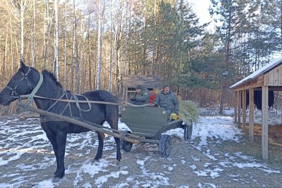 Підгодівля диких тварин з настанням холодів на Житомирщині: чим годують лісових звірів Підгодівля диких тварин з настанням холодів на Житомирщині: чим годують лісових звірів