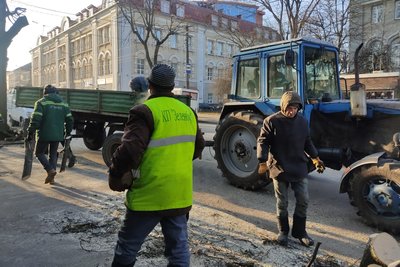 Розчищення від омели та старих і аварійних гілок — у Житомирі триває зимове кронування дерев та кущів Розчищення від омели та старих і аварійних гілок — у Житомирі триває зимове кронування дерев та кущів