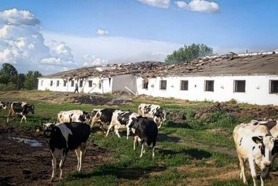 У Садівській громаді БпЛА вдарив по агропідприємству: є поранені