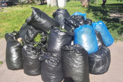 Тиждень прибирання. У Миколаєві організували семиденну толоку Тиждень прибирання. У Миколаєві організували семиденну толоку