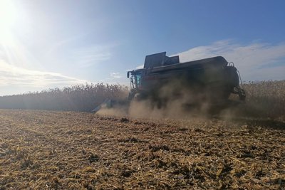 Врожайність удвічі більша, ніж торік: волинські аграрії завершують збір кукурудзи Врожайність удвічі більша, ніж торік: волинські аграрії завершують збір кукурудзи