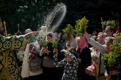 Вербна неділя Вербна неділя
