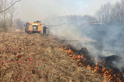 Весняні підпали сухої трави на Житомирщині — яку суму штрафів заплатили порушники Весняні підпали сухої трави на Житомирщині — яку суму штрафів заплатили порушники