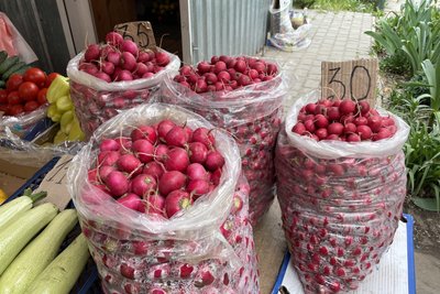 Ранні овочі: що вирощують та продають цьогоріч на Херсонщині Ранні овочі: що вирощують та продають цьогоріч на Херсонщині