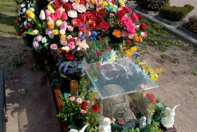 Наруга над могилою військового у Житомирі: підозрюваного взяли під варту Наруга над могилою військового у Житомирі: підозрюваного взяли під варту