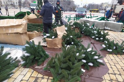 У Києві розпочали встановлювати головну ялинку країни У Києві розпочали встановлювати головну ялинку країни