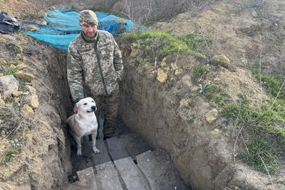 Від цуценяти до бойового пса: чотирилапий Локі несе варту та чекає господаря з бойових виїздів Від цуценяти до бойового пса: чотирилапий Локі несе варту та чекає господаря з бойових виїздів