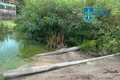 На Київщині На Київщині