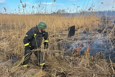 На Харківщині горить очерет На Харківщині горить очерет