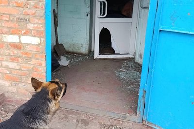 На Харківщині російський дрон атакував пункт видачі гумдопомоги: постраждала мирна мешканка На Харківщині російський дрон атакував пункт видачі гумдопомоги: постраждала мирна мешканка