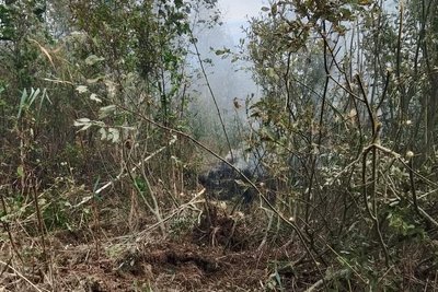 У лісах Житомирщини спалахнули пожежі внаслідок російських атак та падіння дронів: що відомо У лісах Житомирщини спалахнули пожежі внаслідок російських атак та падіння дронів: що відомо