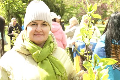Тетяна з Маріуполя посадила магнолію минуло року Тетяна з Маріуполя посадила магнолію минуло року